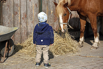 Dierhagen  Kleinkind steht vor einem Pferd