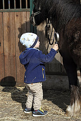 Dierhagen  Kleinkind striegelt ein Pony
