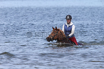 Dierhagen  junge Frau reitet auf ihrem Pferd in der Ostsee