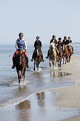Dierhagen  Deutschland  Frauen reiten mit ihren Pferden am Ostseestrand