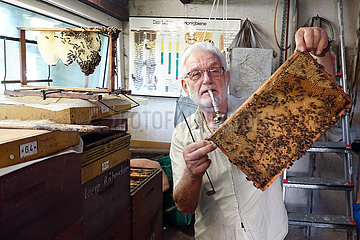 Berlin  Deutschland  Imker kontrolliert eine Wabe seines Bienenvolkes