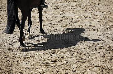 Redefin  Pferd und Reiter werfen einen Schatten auf Sandboden