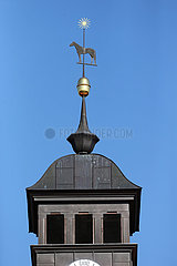 Gestuet Graditz  Wetterfahne auf dem Turm des Landstallmeisterhauses