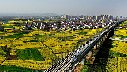 CHINA-SHAANXI-YANGXIAN-RAPE FLOWERS (CN)