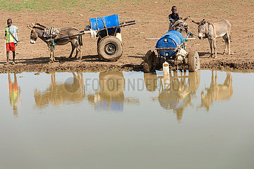 Burferedo  Somali Region  Aethiopien - Wassertransport an einer Wasserstelle
