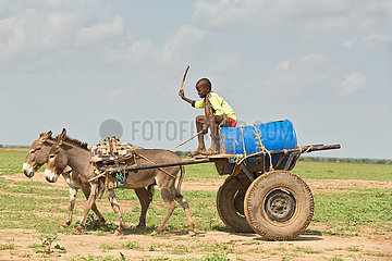 Burferedo  Somali Region  Aethiopien -Trinkwassertransport mit Eselskarren