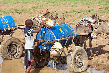 Burferedo  Somali Region  Aethiopien - Junge schoepft Wasser aus einer Wasserstelle