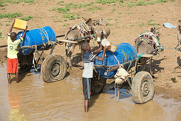 Burferedo  Somali Region  Aethiopien - Jungen schoepfen Wasser aus einer Wasserstelle