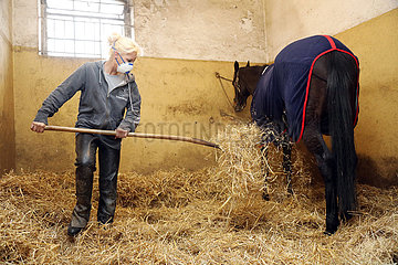Neuenhagen  Pferdepflegerin traegt bei der Stallarbeit zum Schutz vor dem Coronavirus eine Atemschutzmaske