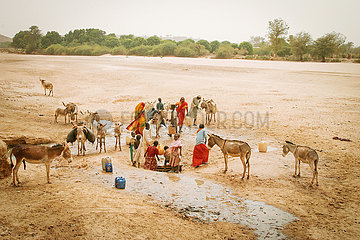 Kampf ums Wasser in der Tschad Region