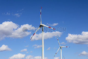 Windpark  Bedburg  Nordrhein-Westfalen  Deutschland