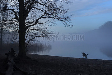 Berlin  Deutschland  der Grunewaldsee im Nebel