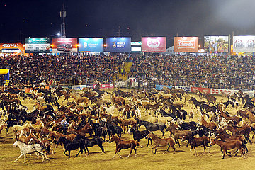 Jesus Maria  Pferdeherde beim Festival Nacional de la Doma y el Folclore in der Arena