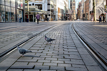 Deutschland  Bremen - Die Fussgaengerzone Obernstrasse in der Innenstadt von Corona leergefegt  Tauben spazieren und picken ungestoert