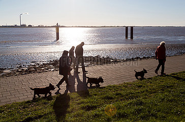 Deutschland  Bremerhaven - Spaziergaenger mit Scottish Terriern an der Muendung der Weser zur Nordsee