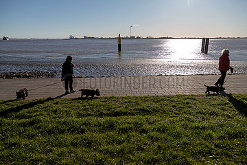 Deutschland  Bremerhaven - Spaziergaenger mit Scottish Terriern an der Muendung der Weser zur Nordsee