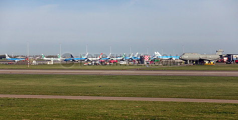 Amsterdam  Niederlande  Auswirkungen der Coronapandemie: Flugzeuge der KLM und Transavia in Parkposition am Flughafen Schiphol