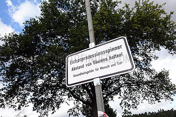 Berlin  Deutschland  Warnung vor dem Eichenprozessionsspinner