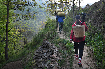 CHINA-SHAANXI-Paarungs POVERTY RELIEF (CN)