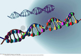 GENETIQUE ADN GENETICS DNA