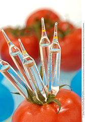 BIOTECHNOLOGIE OGM BIOTECHNOLOGY  GMO