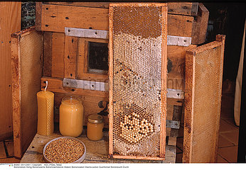 APICULTURE!!BEE-KEEPING