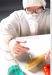 BIOTECHNOLOGIE OGM!!BIOTECHNOLOGY  GMO