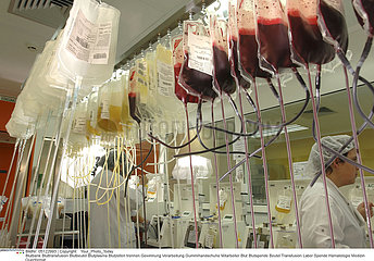 TRANSFUSION CENTRE!!BLOOD TRANSFUSION CENTER