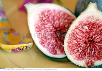 FRUIT FIGUE!!FIG