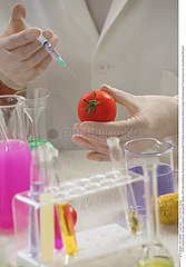 BIOTECHNOLOGIE OGM!!BIOTECHNOLOGY  GMO