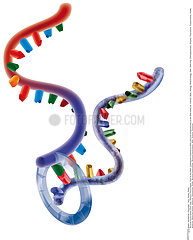 GENETIQUE ADN!!GENETICS  DNA