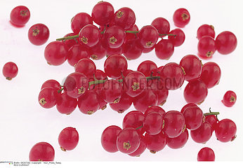 RED CURRANT