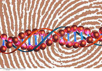 GENETICS  DNA