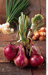 RED ONION