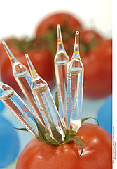 BIOTECHNOLOGY  GMO