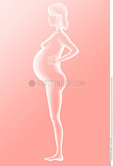SILHOUETTE OF A PREGNANT WOMAN