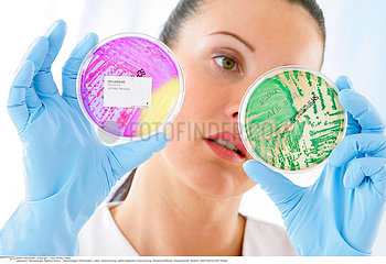 BACTERIOLOGY