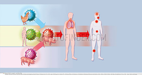 INFLUENZA A H1N1 INFECTION
