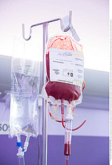 Reportage_184 Endokrinologie / BLOOD TRANSFUSION