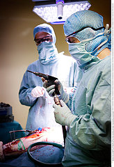 Reportage_172 Knieoperation  Prothese / KNEE PROSTHESIS  SURGERY