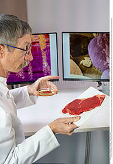Steak in a lab