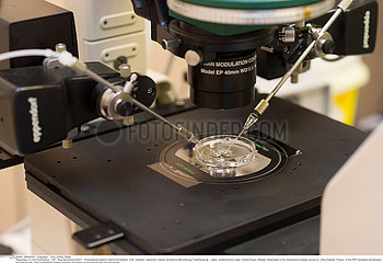 ASSISTED REPRODUCTIVE TECHNOLOGY