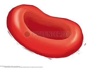 RED BLOOD CELL Illustration