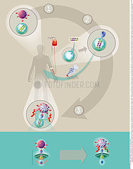 CANCER IMMUNOTHERAPY