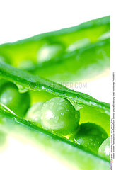 Green pea