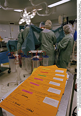 Organ transplantation