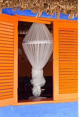 Mosquito net