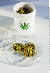 Therapeutic cannabis