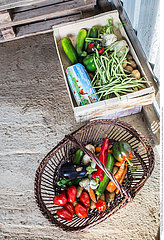 Reportage_162 Direktvermarktung Gemüse /Organic vegetables