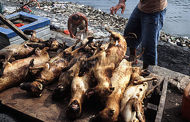 Manado  Sulawesi  Indonesien  Umschlagplatz fuer Hundefleisch am Hafen